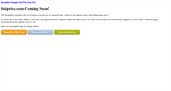 Desktop Screenshot of bidprice.com